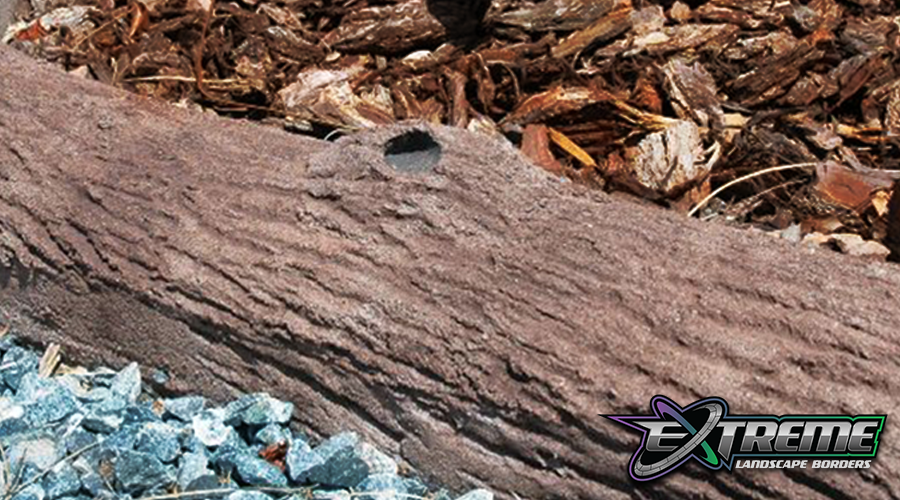 Bark Texture