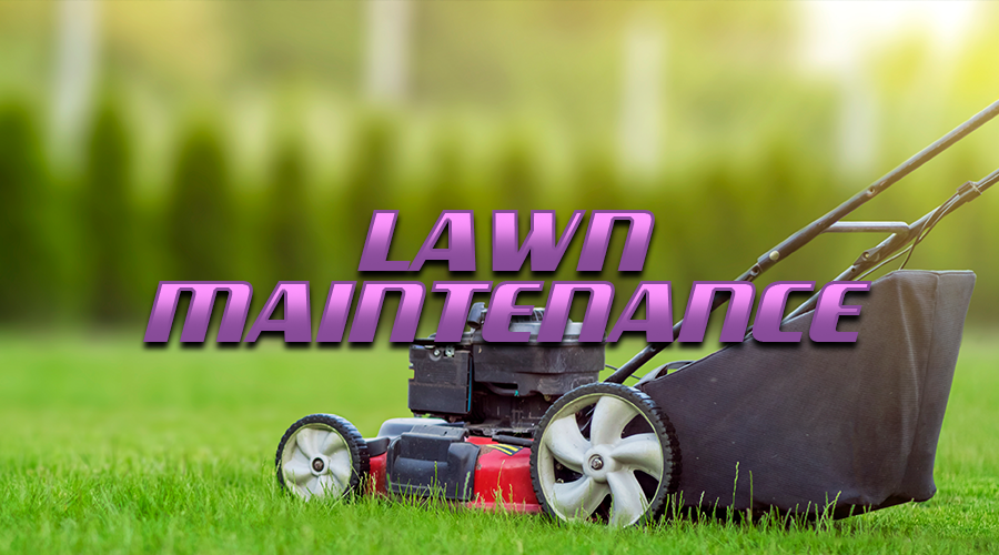 lawn-maintenace Lawn Maintenance