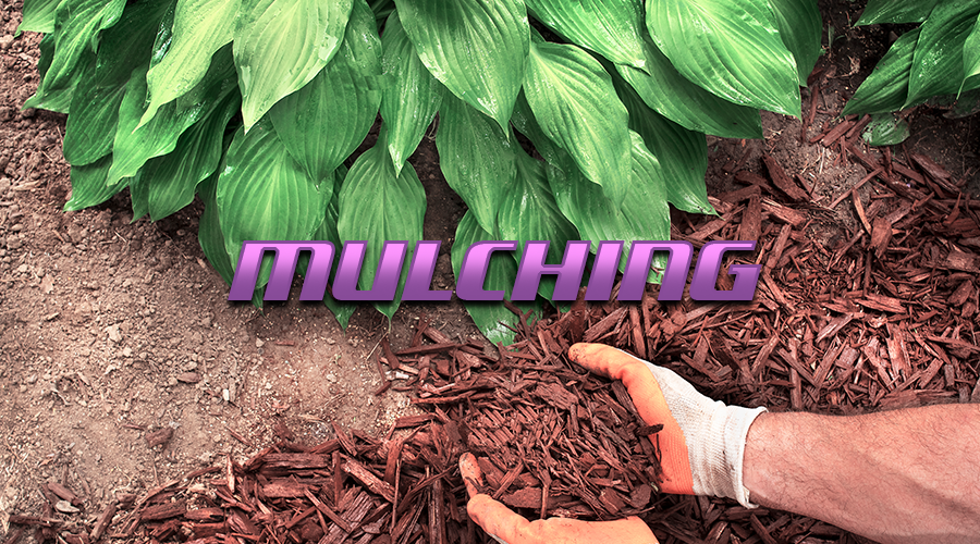 services-mulching Services - Mulching