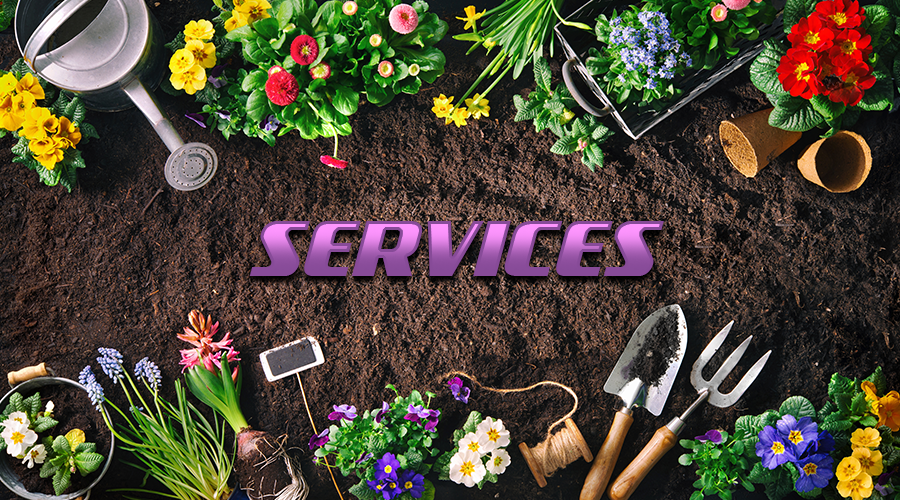 services-title Services - Title